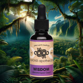 Wisdom Microdosing Support Group + Wisdom Tincture