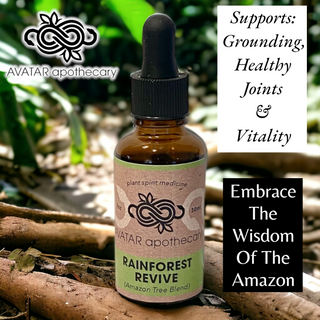 Rainforest Revive