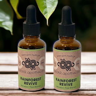 Rainforest Revive