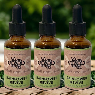 Rainforest Revive