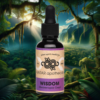 Wisdom Tincture