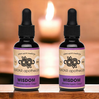 Wisdom Tincture