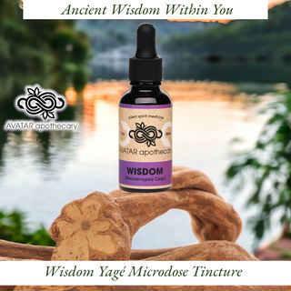 Wisdom Tincture