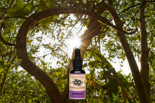 Wisdom Tincture